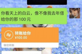 霸州如何避免债务纠纷？专业追讨公司教您应对之策